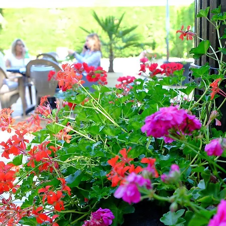 호텔 Logis & Restaurant Ludik 3*