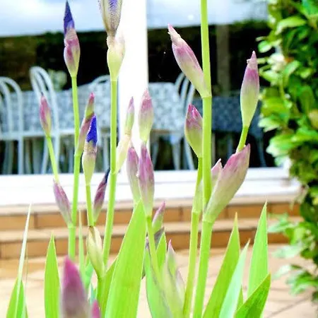 Ludik For Rêveurs 3*