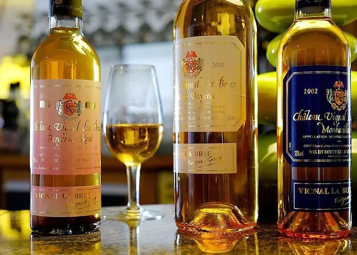 Logis & Restaurant Ludik 3*