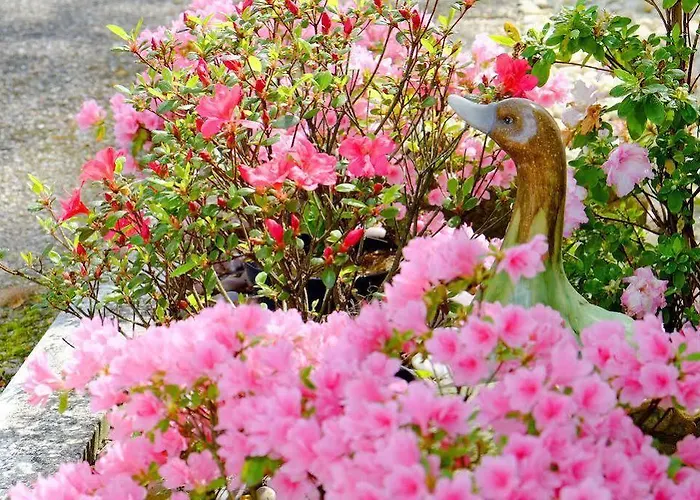 Logis & Restaurant Ludik 3* ベルジュラック