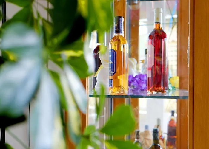 Logis & Restaurant Ludik ホテル ベルジュラック