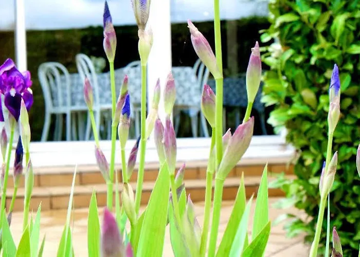 Logis & Restaurant Ludik 3*